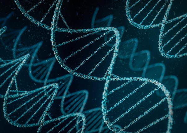 biotech crash
